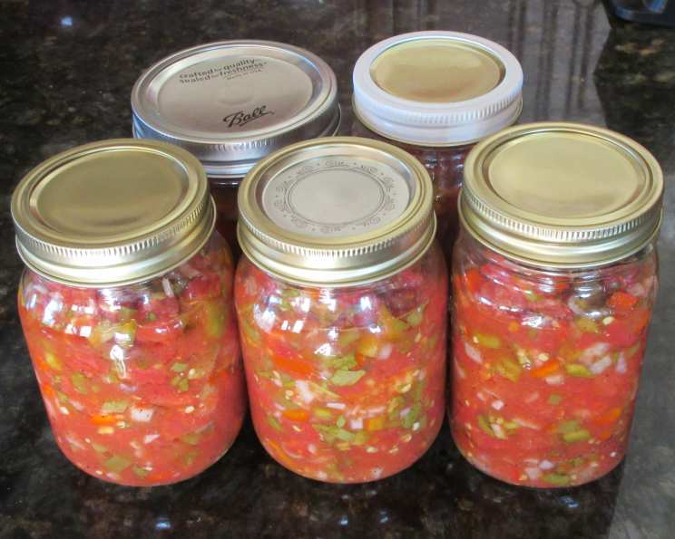 Easy Homemade Salsa for Canning